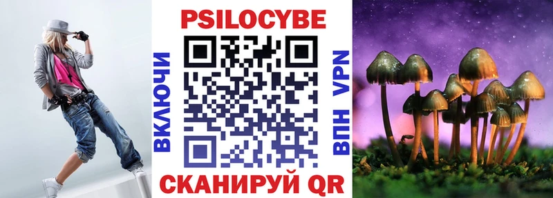 цена наркотик  Щёлкино  Галлюциногенные грибы Psilocybe 